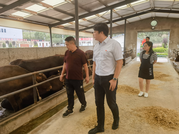 1721199650451996.png 3_副本.png